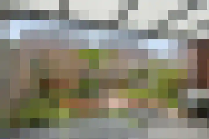 Tarwe 8 Heusden thumbnail 25