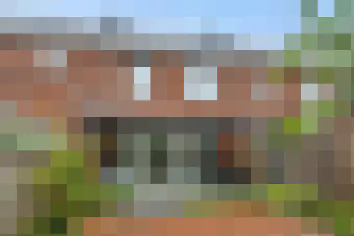 Tarwe 8 Heusden thumbnail 26