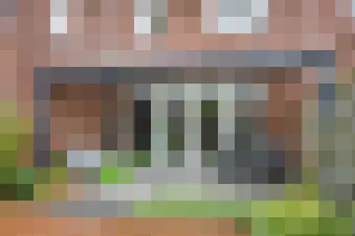 Tarwe 8 Heusden thumbnail 27