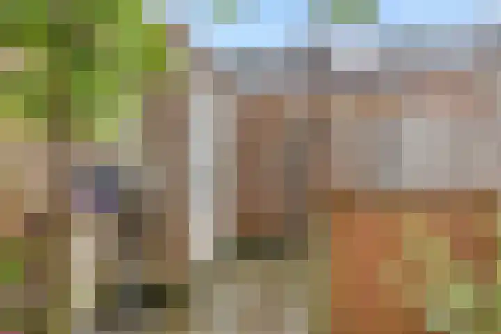 Tarwe 8 Heusden thumbnail 28
