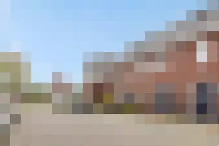 Tarwe 8 Heusden thumbnail 29