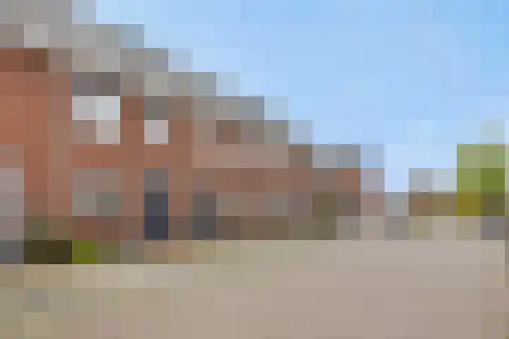 Tarwe 8 Heusden thumbnail 30