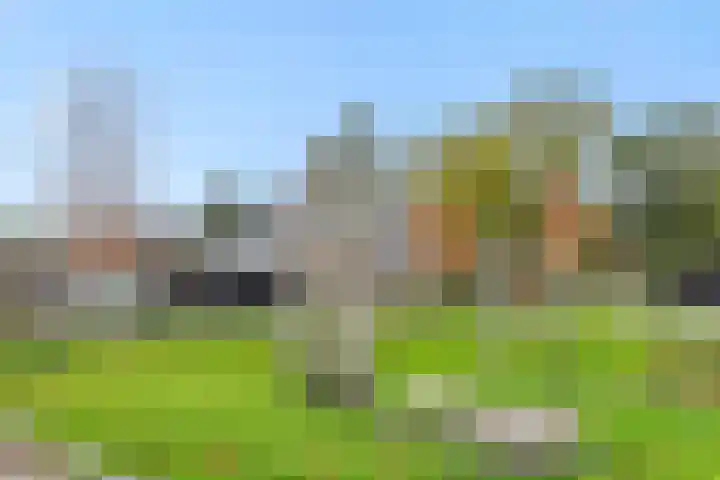 Tarwe 8 Heusden thumbnail 31