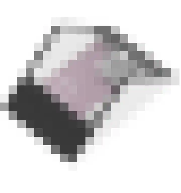 Tarwe 8 Heusden thumbnail 37