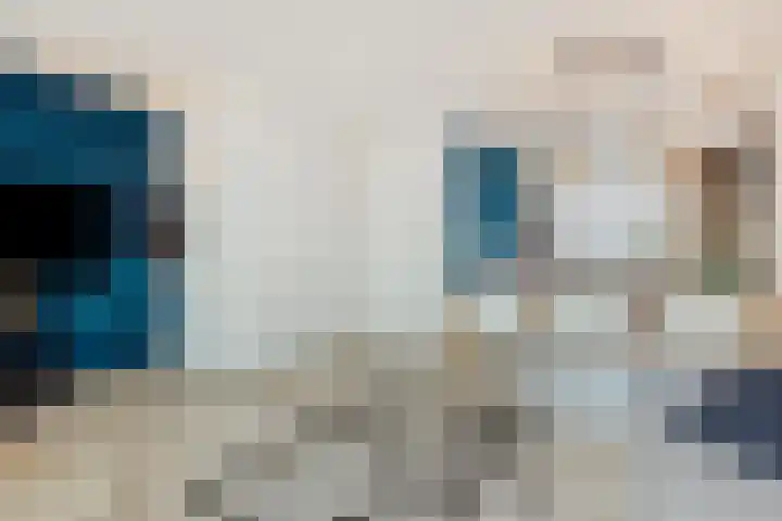 Tarwe 8 Heusden thumbnail 7