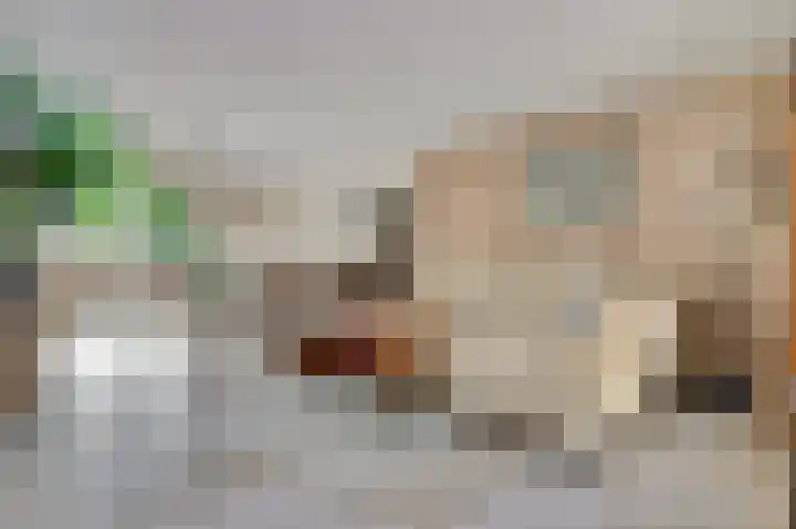Tarwe 9 Helden thumbnail 11