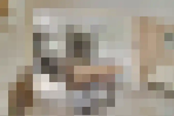 Tarwe 9 Helden thumbnail 12
