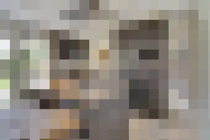 Tarwe 9 Helden thumbnail 13