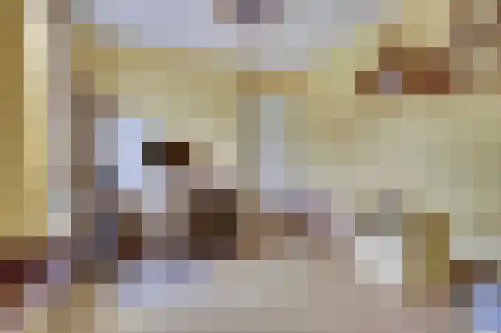 Tarwe 9 Helden thumbnail 26