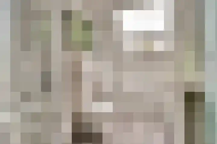 Tarwe 9 Helden thumbnail 27