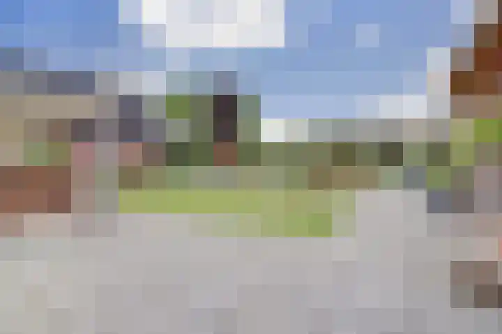 Tarwe 9 Helden thumbnail 31