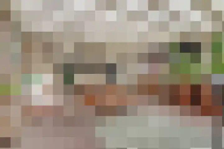 Tarwe 9 Helden thumbnail 32