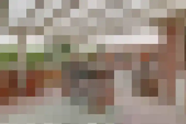 Tarwe 9 Helden thumbnail 33