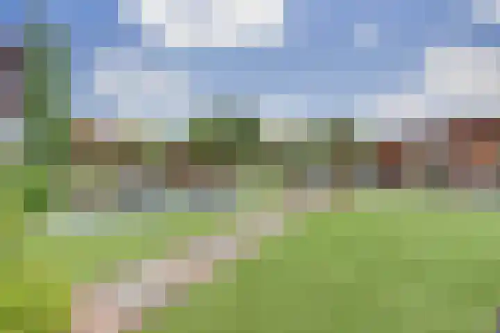 Tarwe 9 Helden thumbnail 34