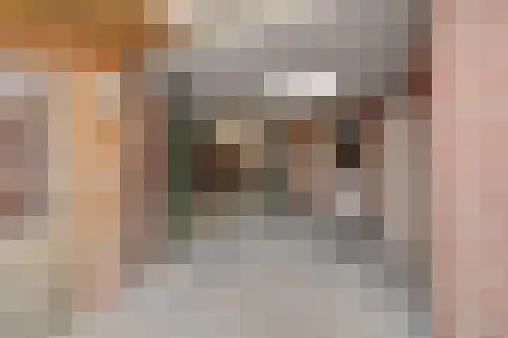 Tarwe 9 Helden thumbnail 38