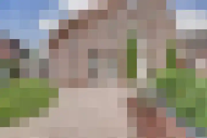 Tarwe 9 Helden thumbnail 41