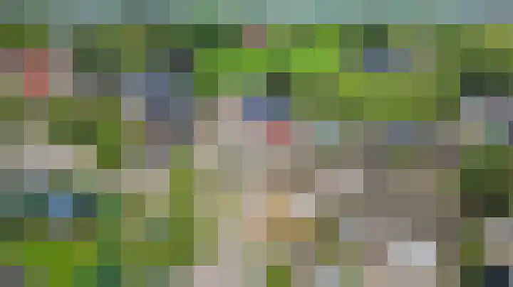 Tarwe 9 Helden thumbnail 44