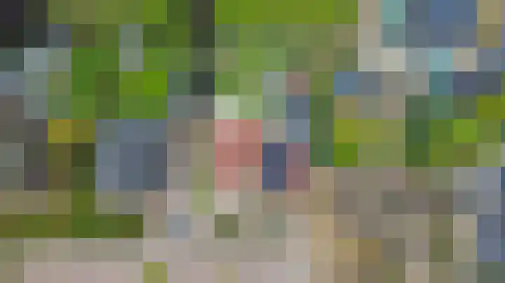 Tarwe 9 Helden thumbnail 45