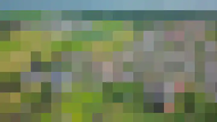 Tarwe 9 Helden thumbnail 47