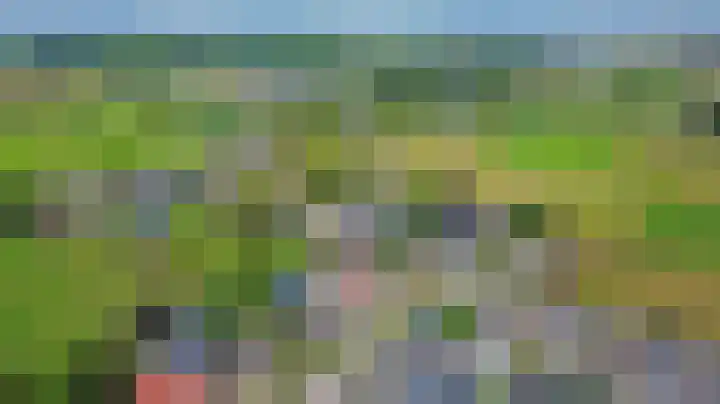 Tarwe 9 Helden thumbnail 48