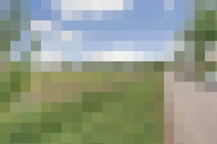 Tarwe 9 Helden thumbnail 49