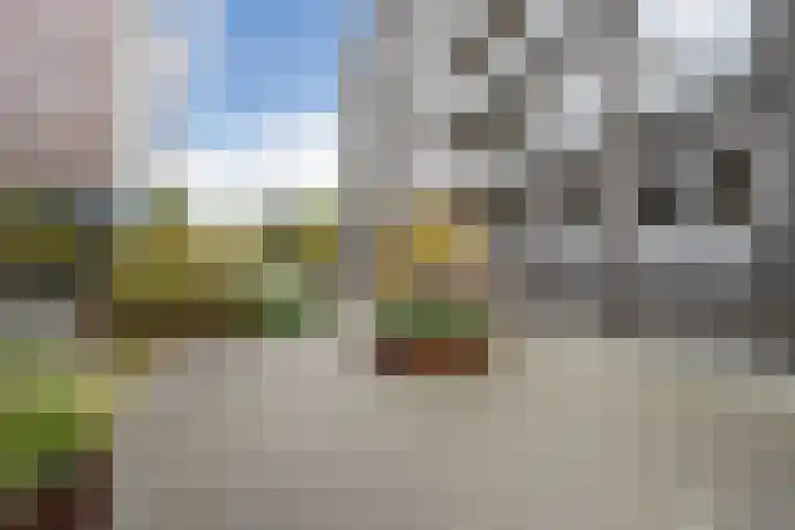 Tarwe 9 Helden thumbnail 50