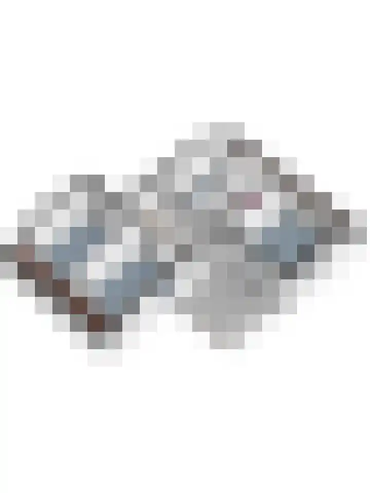 Tarwe 9 Helden thumbnail 53