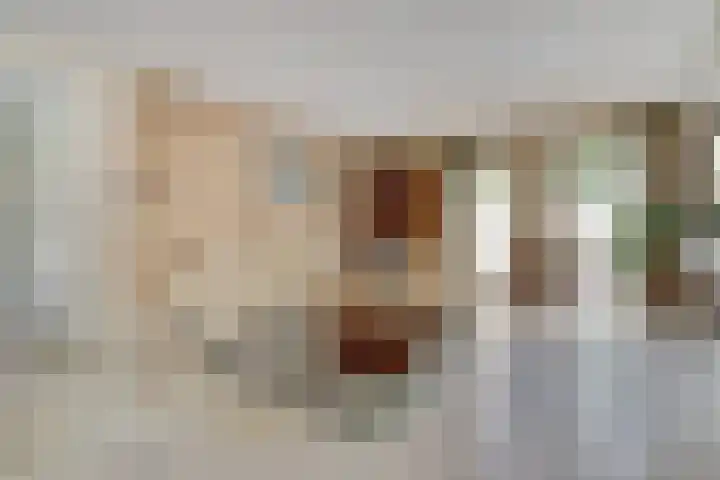 Tarwe 9 Helden thumbnail 9