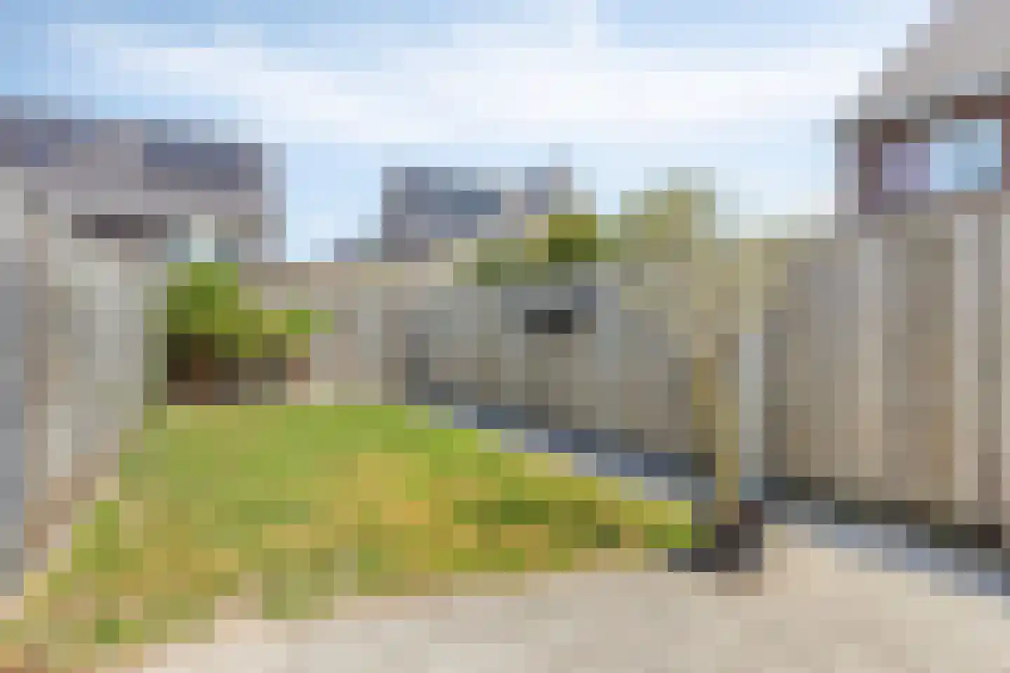 Tarwe 9 Heusden thumbnail 24
