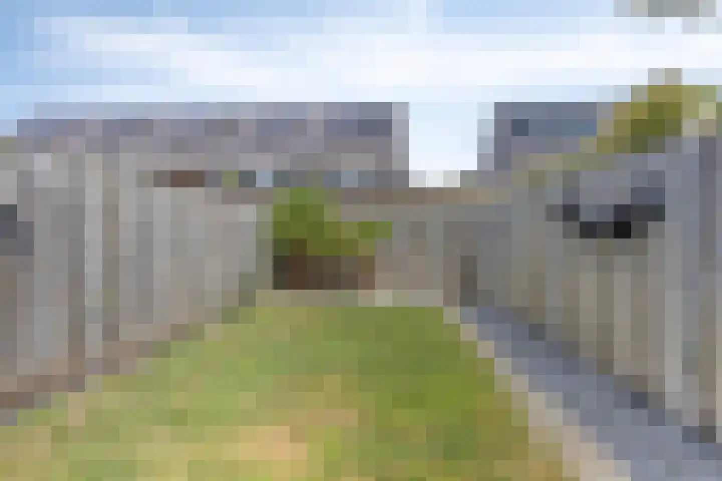 Tarwe 9 Heusden thumbnail 25