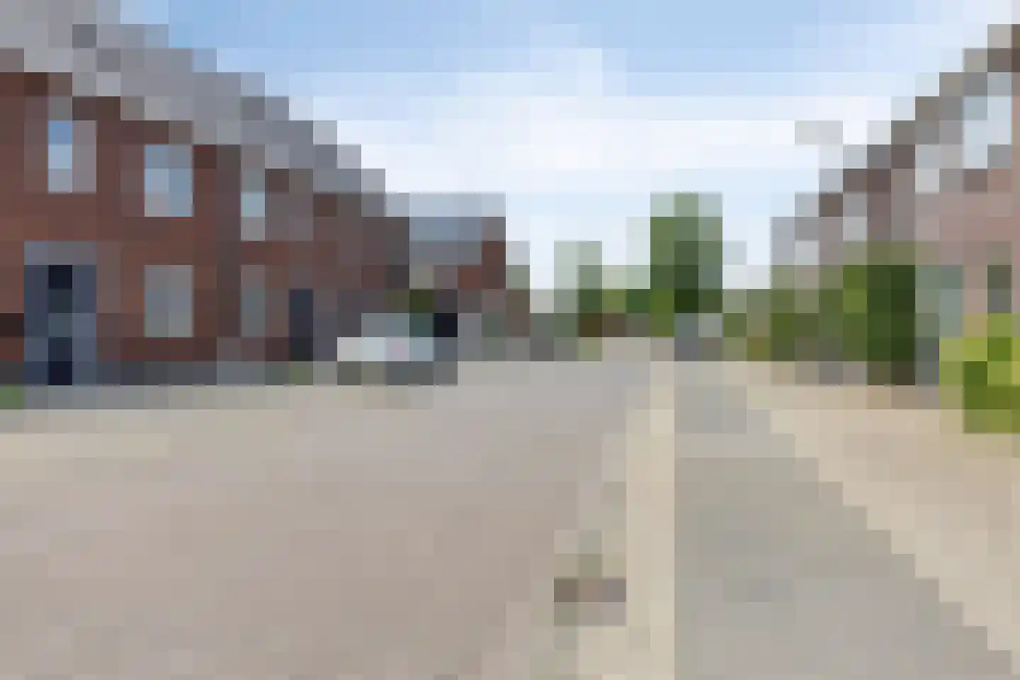 Tarwe 9 Heusden thumbnail 6