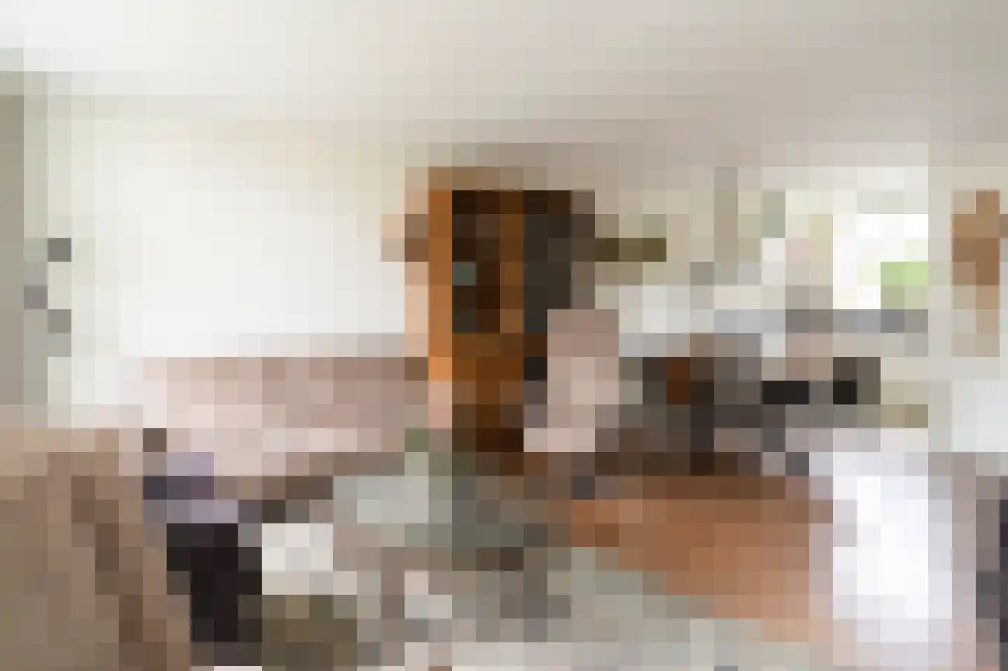Tarweakker 12 Barneveld thumbnail 11