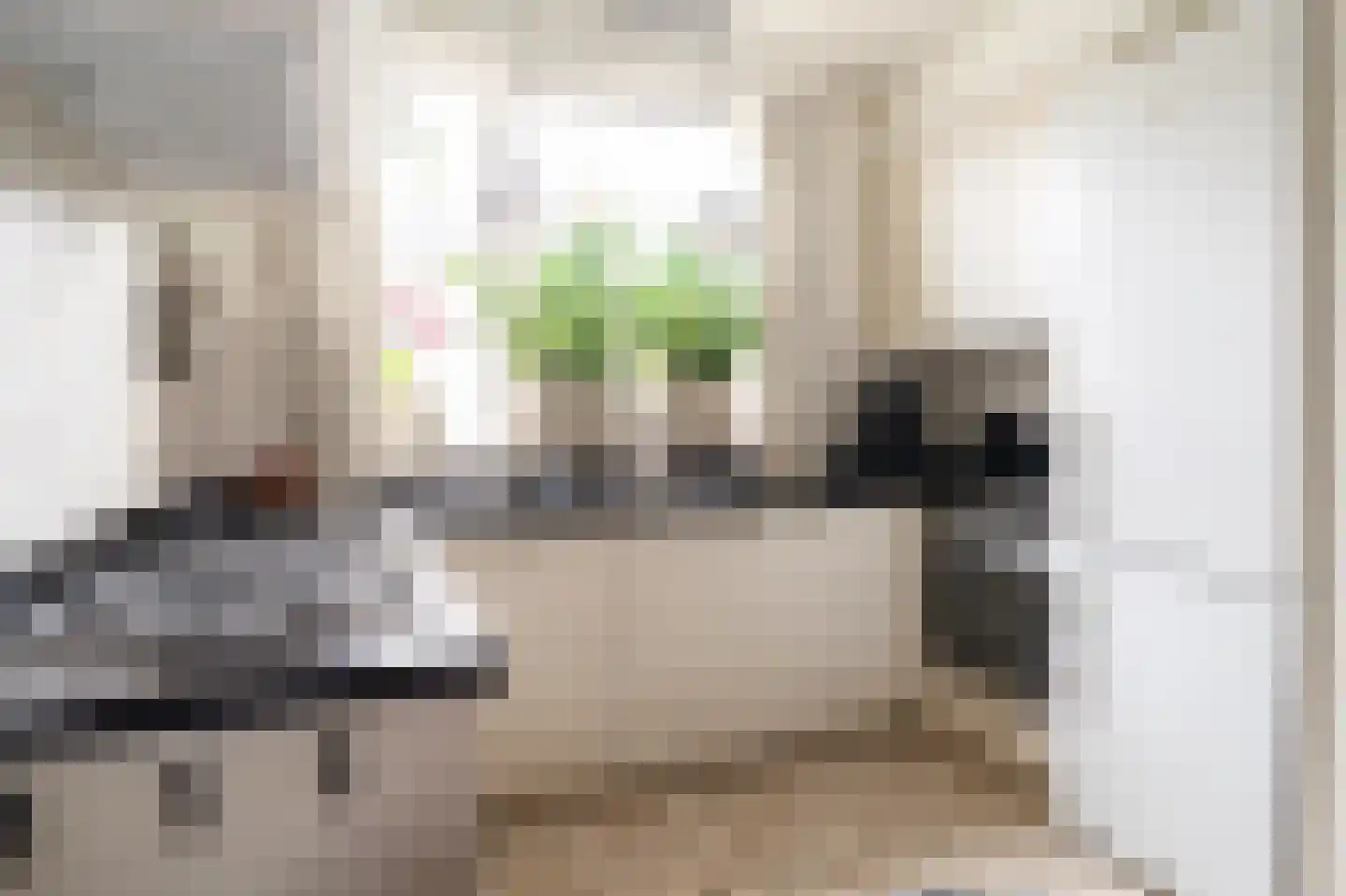 Tarweakker 12 Barneveld thumbnail 14