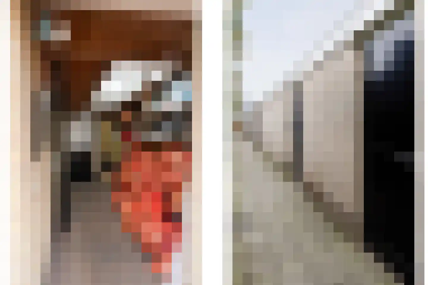 Tarweakker 12 Barneveld thumbnail 41