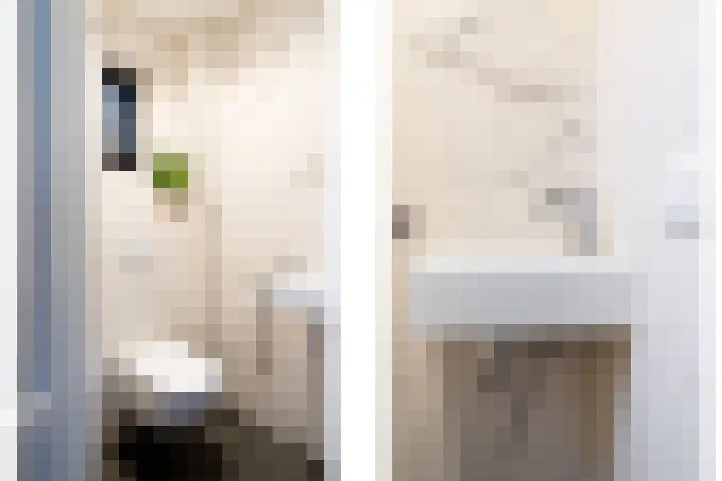 Tarweakker 12 Barneveld thumbnail 7