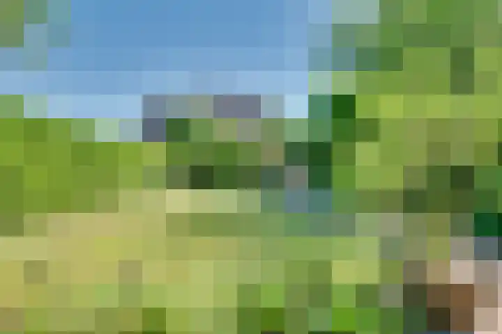 Tarweakker 18 in 's-Hertogenbosch