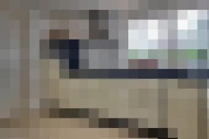 Tarweakker 18 's-Hertogenbosch thumbnail 10