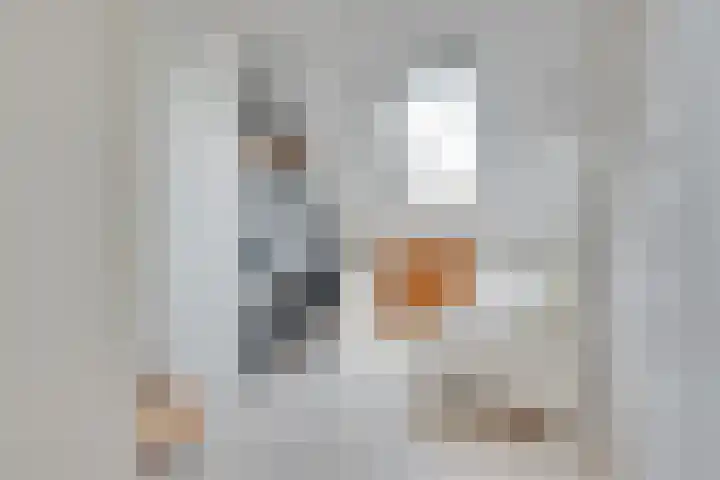 Tarweakker 18 's-Hertogenbosch thumbnail 19