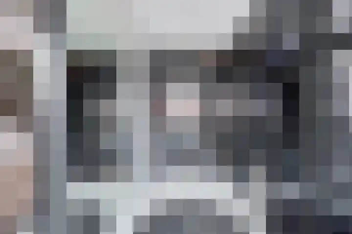 Tarweakker 18 's-Hertogenbosch thumbnail 21