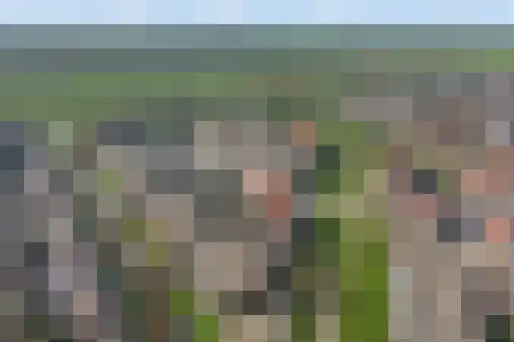 Tarweakker 18 's-Hertogenbosch thumbnail 22