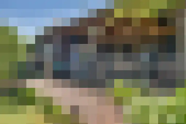 Tarweakker 18 's-Hertogenbosch thumbnail 24