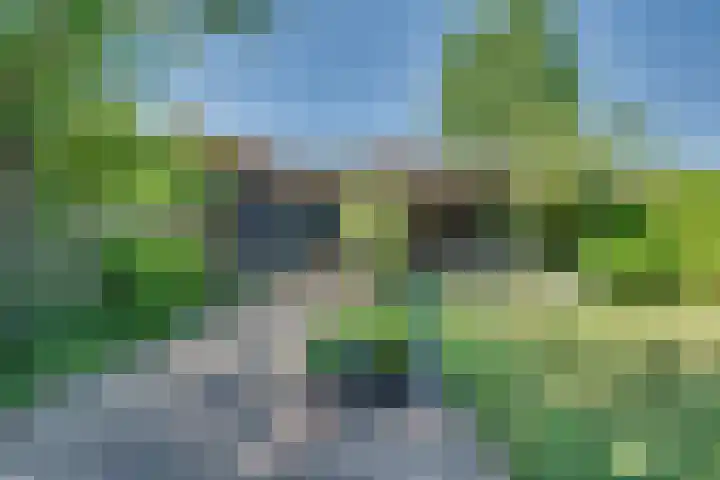 Tarweakker 18 's-Hertogenbosch thumbnail 25