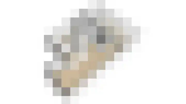 Tarweakker 18 's-Hertogenbosch thumbnail 34