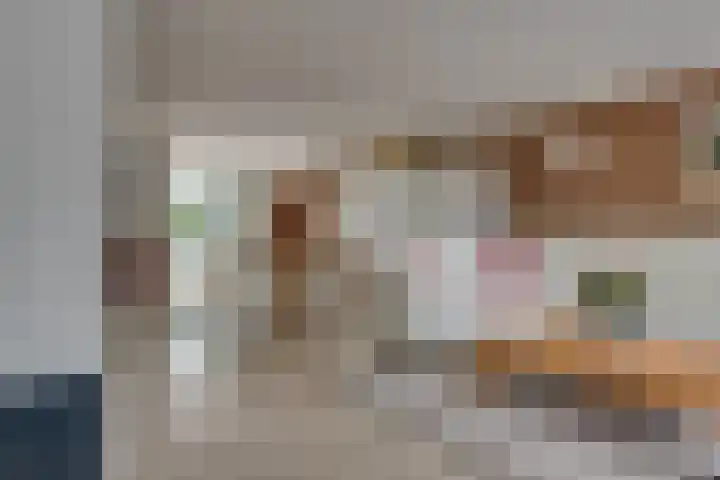 Tarweakker 18 's-Hertogenbosch thumbnail 4