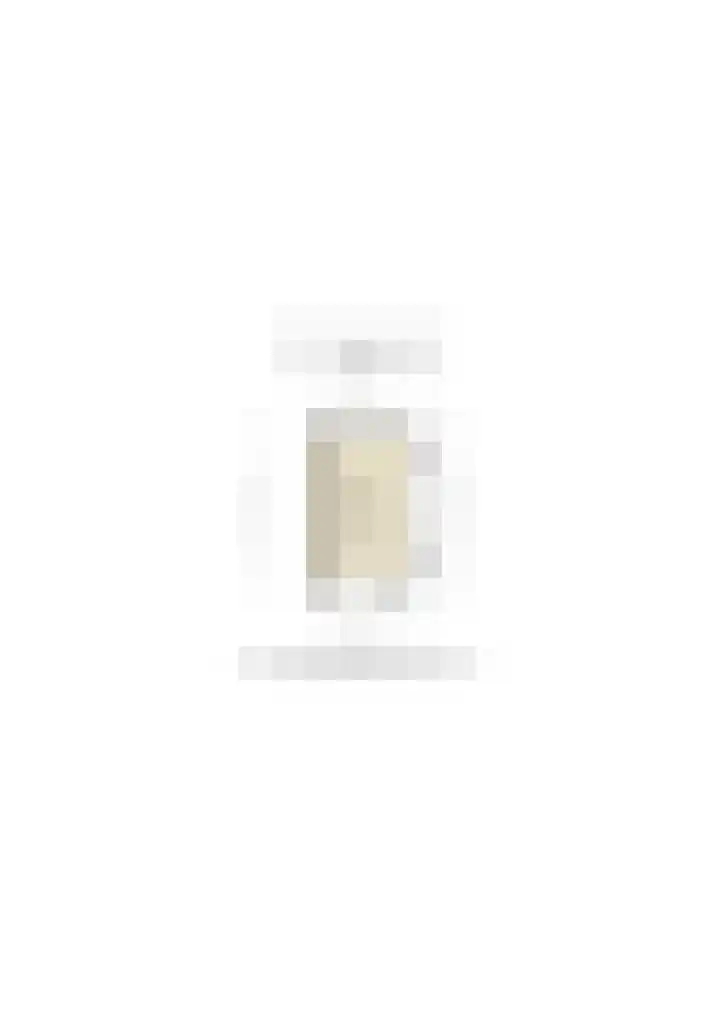 Tarweakker 18 's-Hertogenbosch thumbnail 43