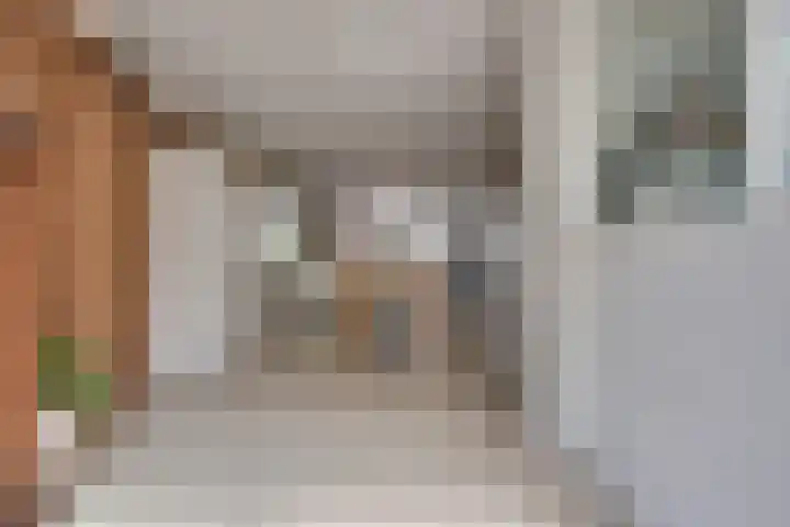 Tarweakker 18 's-Hertogenbosch thumbnail 8