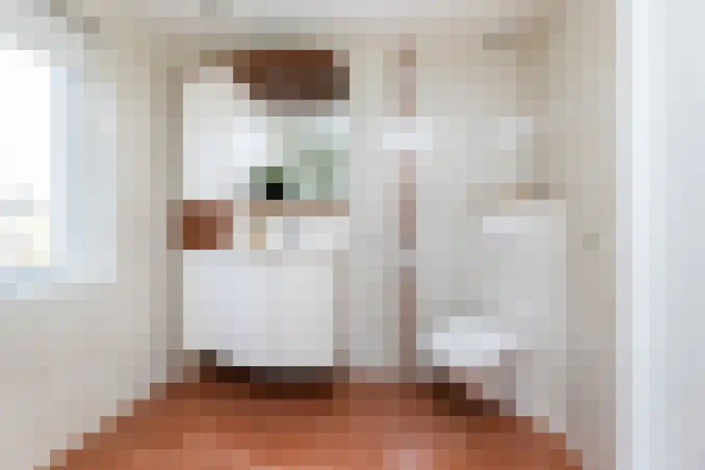 Tarweakker 19 Wezep thumbnail 30