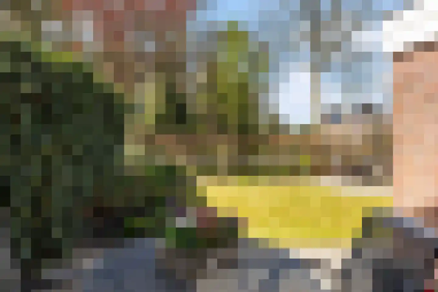 Tarweakker 19 Wezep thumbnail 34