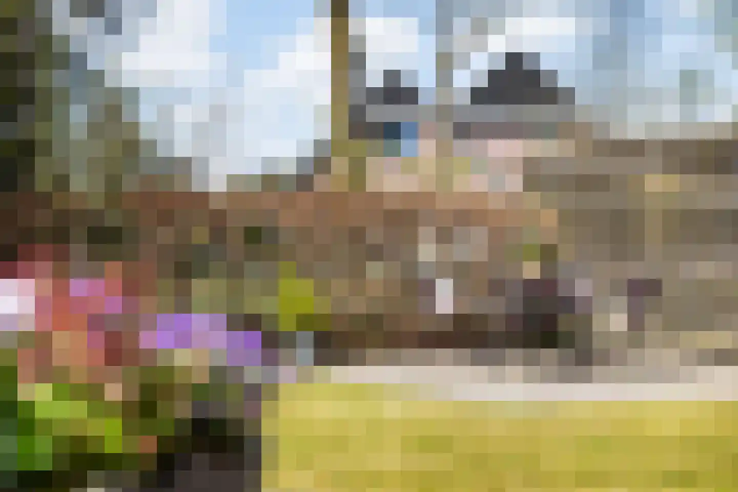 Tarweakker 19 Wezep thumbnail 35