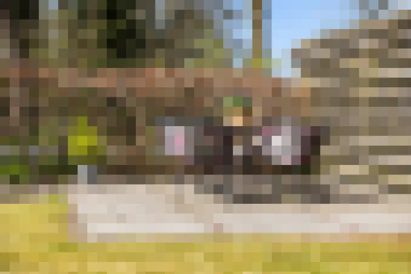 Tarweakker 19 Wezep thumbnail 36